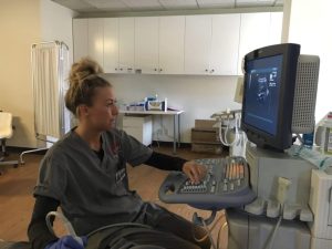 Courtney Clark in the Diagnostic Medical Sonography lab, focused on scanning techniques.