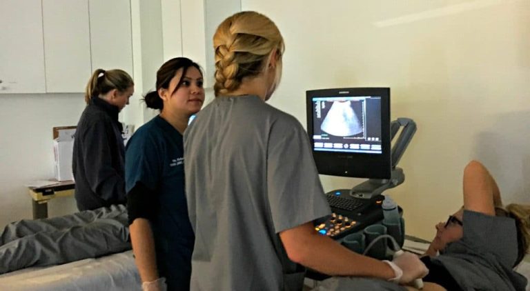 Close-up image of an ultrasound machine displaying an abdominal scan during a training session led by Katherine Pham.