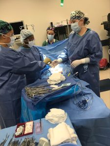 Stephanie Allen, director of the Surgical Technology Program at CBD College, performing surgery in the operating room.