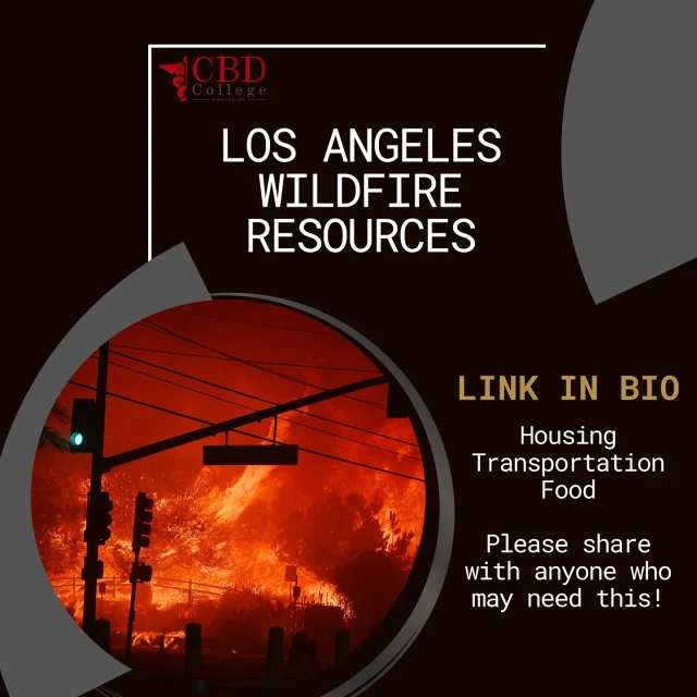 We must all play our part to keep the community safe! If you or someone you know is affected by this, spread the word because not everyone may be aware of the resources available.Check out the link in bio for resources for housing, transportation, food and more!Please share with anyone who you feel could use this and continue to stay safe everyone!